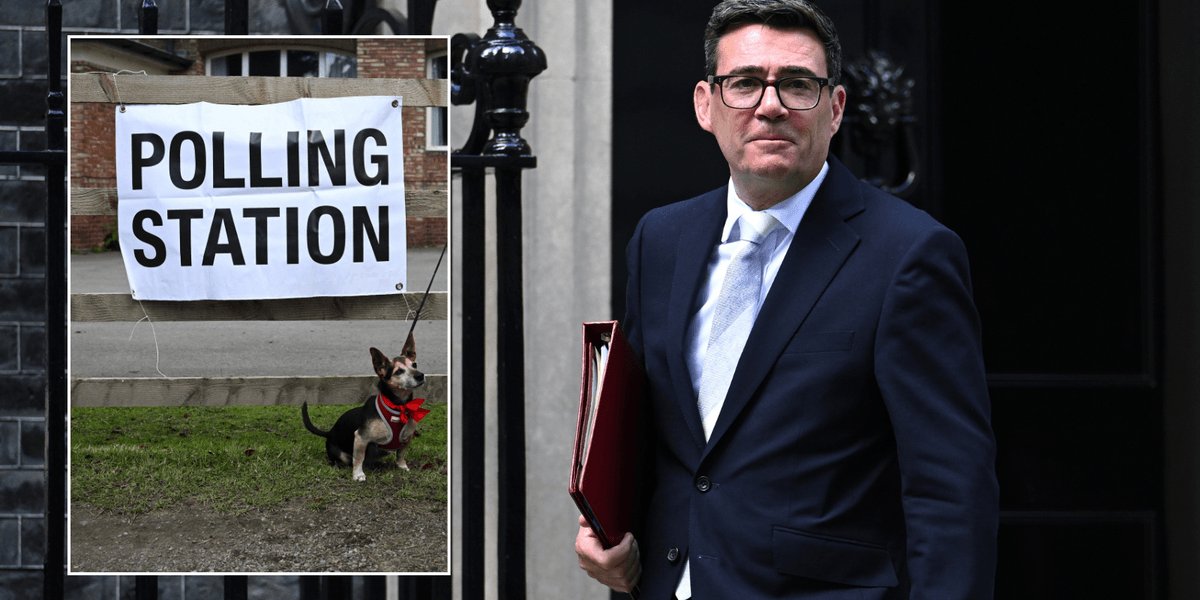 £10 fine for not voting: the Lords plan most voters have not heard of