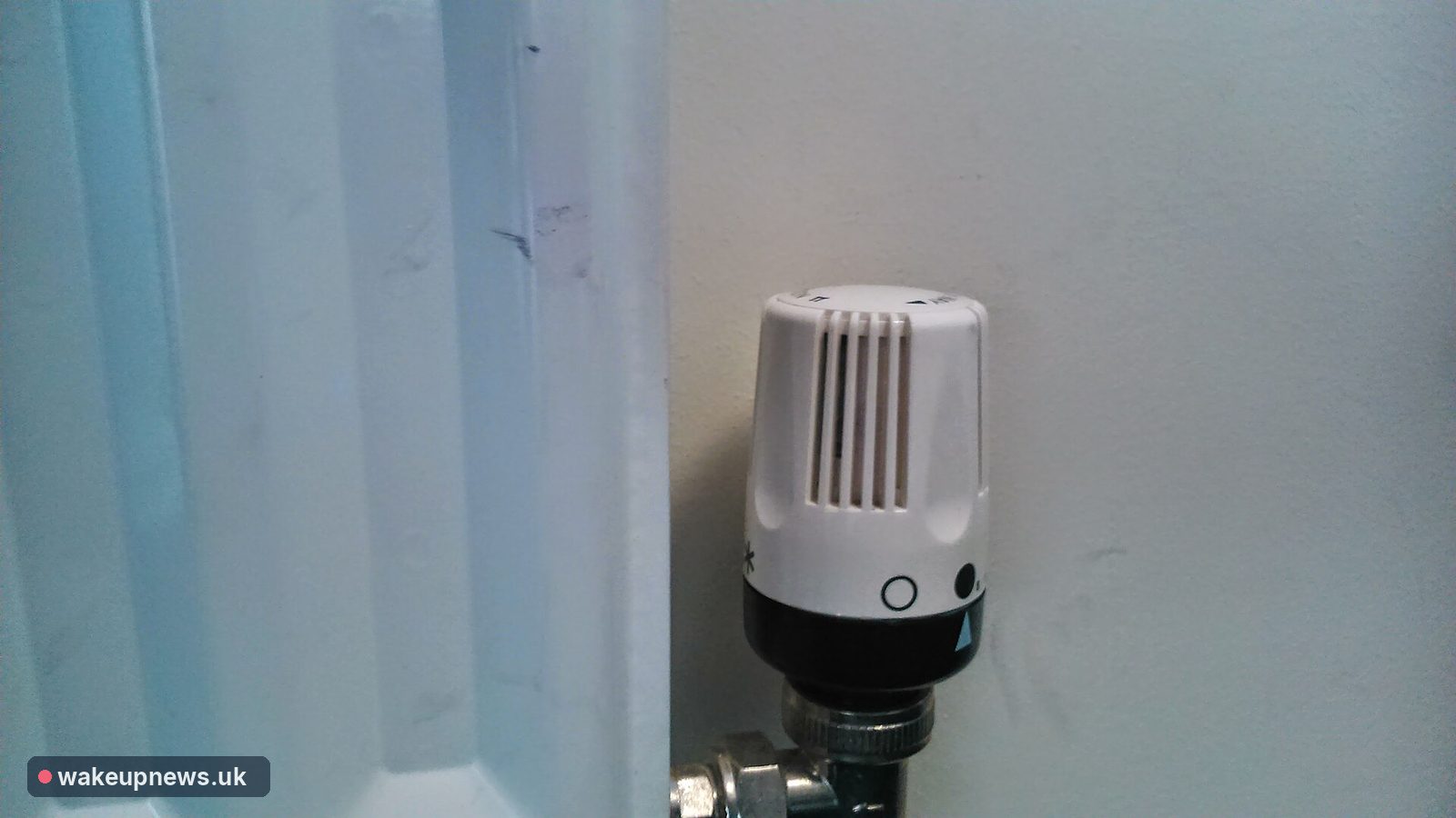 White thermostatic valve on a home radiator against a pale wall